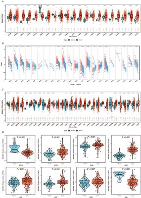 Comprehensive pan-cancer analysis and experiments revealed R3HDM1 as a novel predictive biomarker for prognosis and immune therapy response